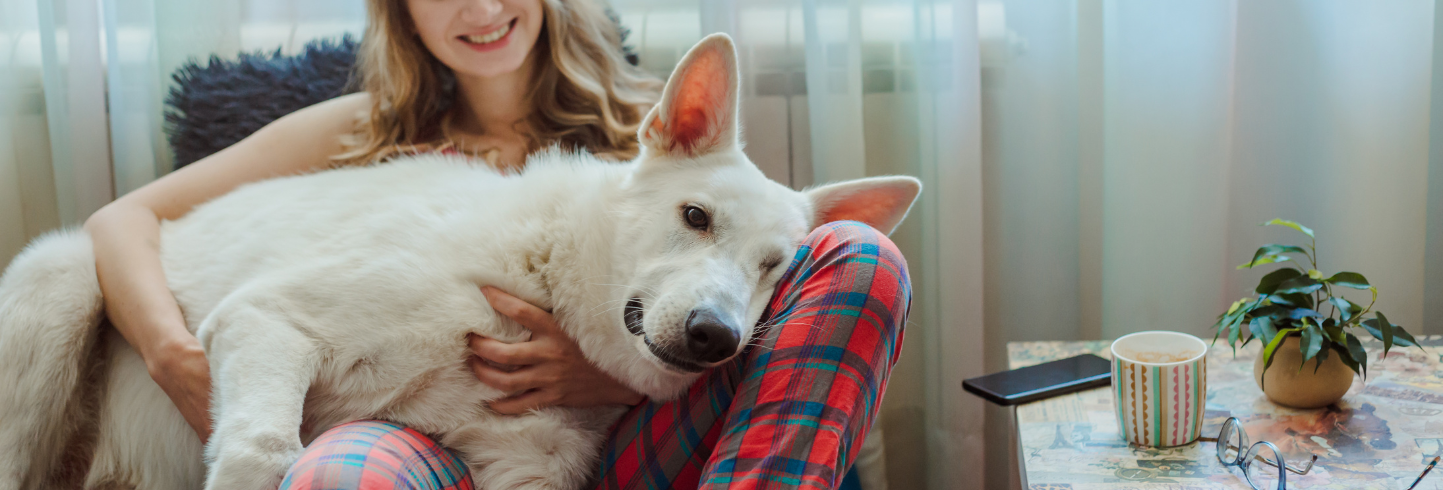 best vet San Francisco